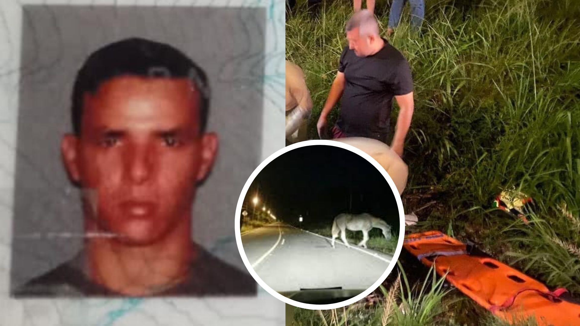 Motociclista muere tras impactar contra un caballo en La Ceiba