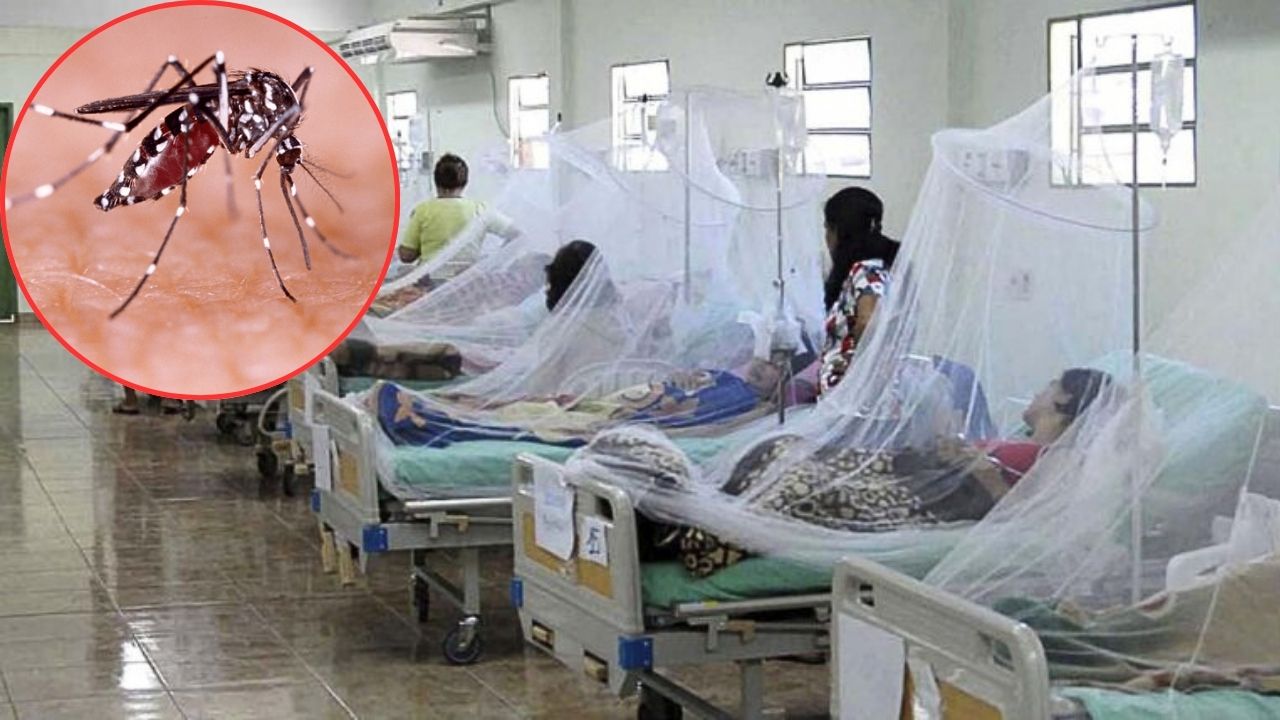 Honduras entra en situación de alerta máxima por dengue