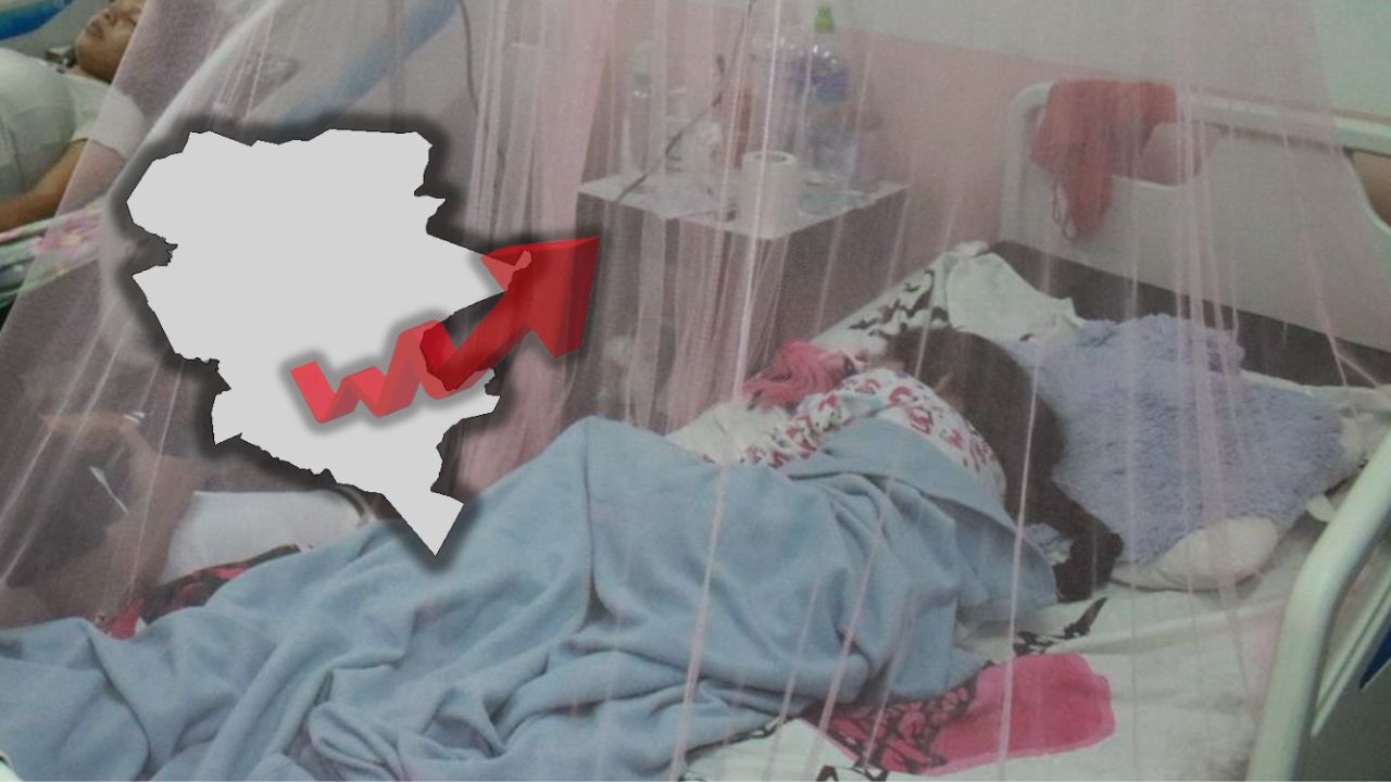 Más de 3,500 casos de dengue se registran solo en el Distrito Central en 2024