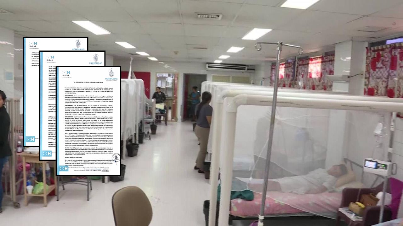 Estas medidas se aplicarán por emergencia sanitaria por dengue, según Sesal