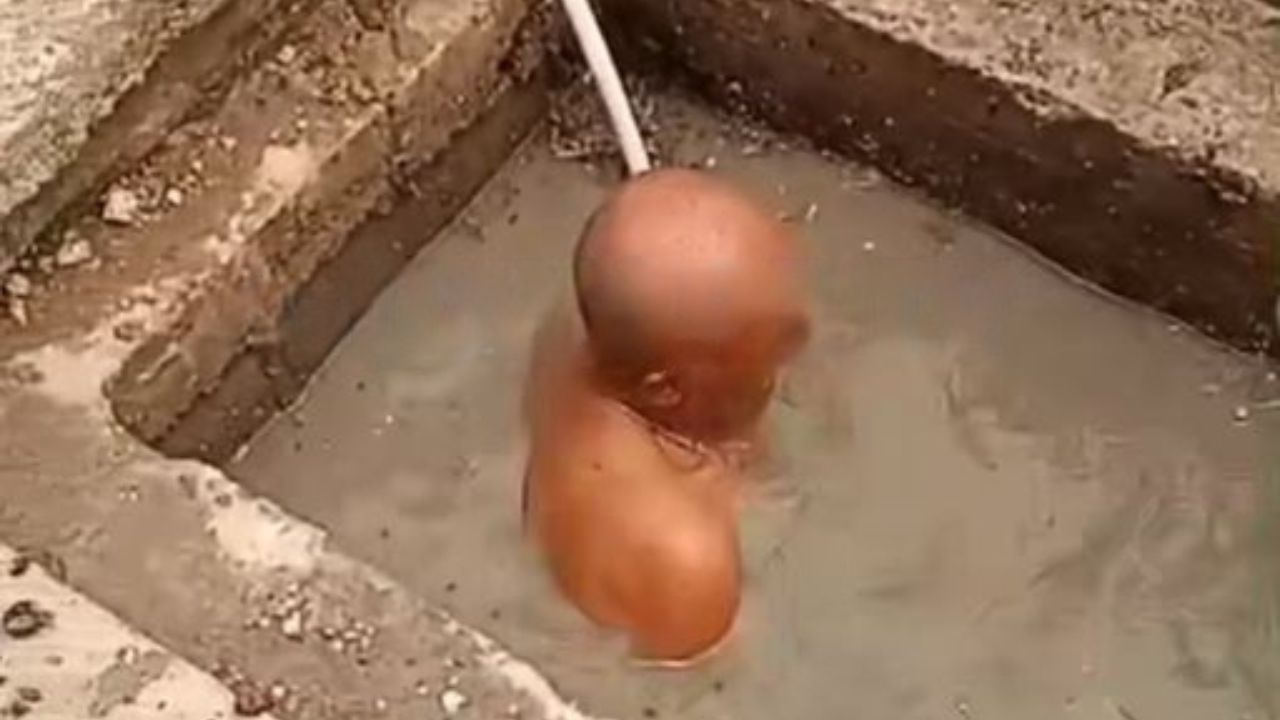 Empleado municipal en Juticalpa se sumerge en agua negras para destapar tuberías