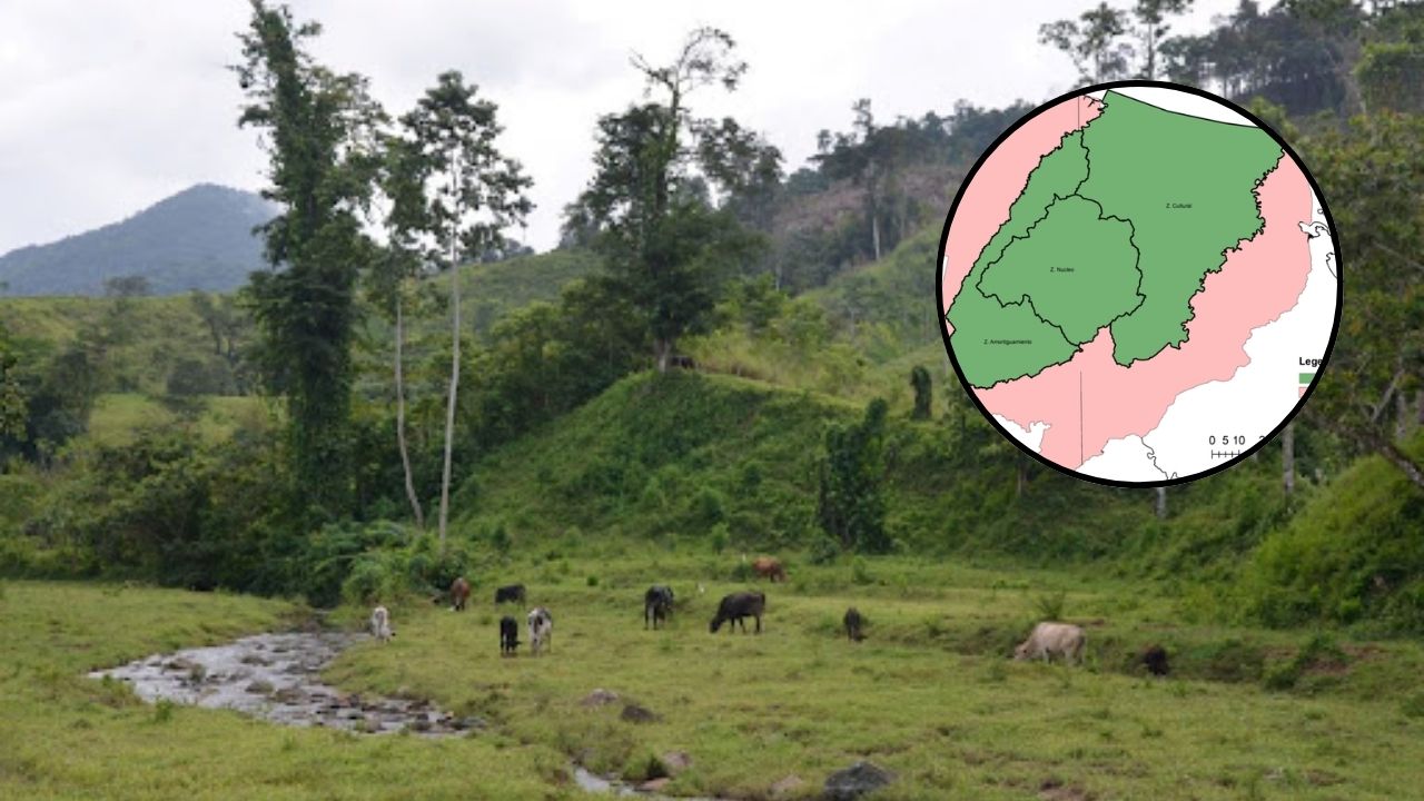 CNDS ordena decomiso de maquinaria para evitar tala de bosques