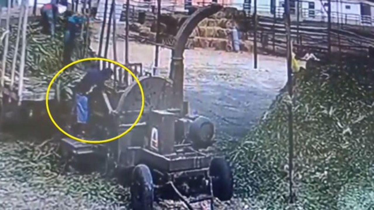 Captan cuando padre de 8 hijos muere al caer en trituradora de alimentos