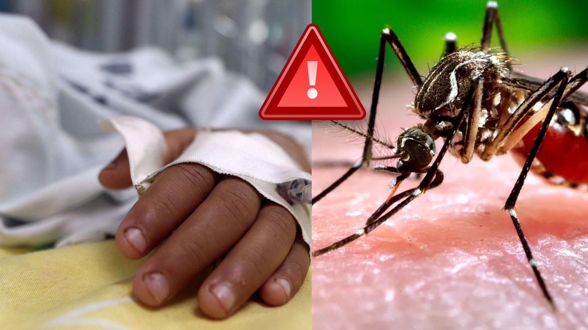 En alerta máxima nueve hospitales de Honduras por aumento de casos de dengue