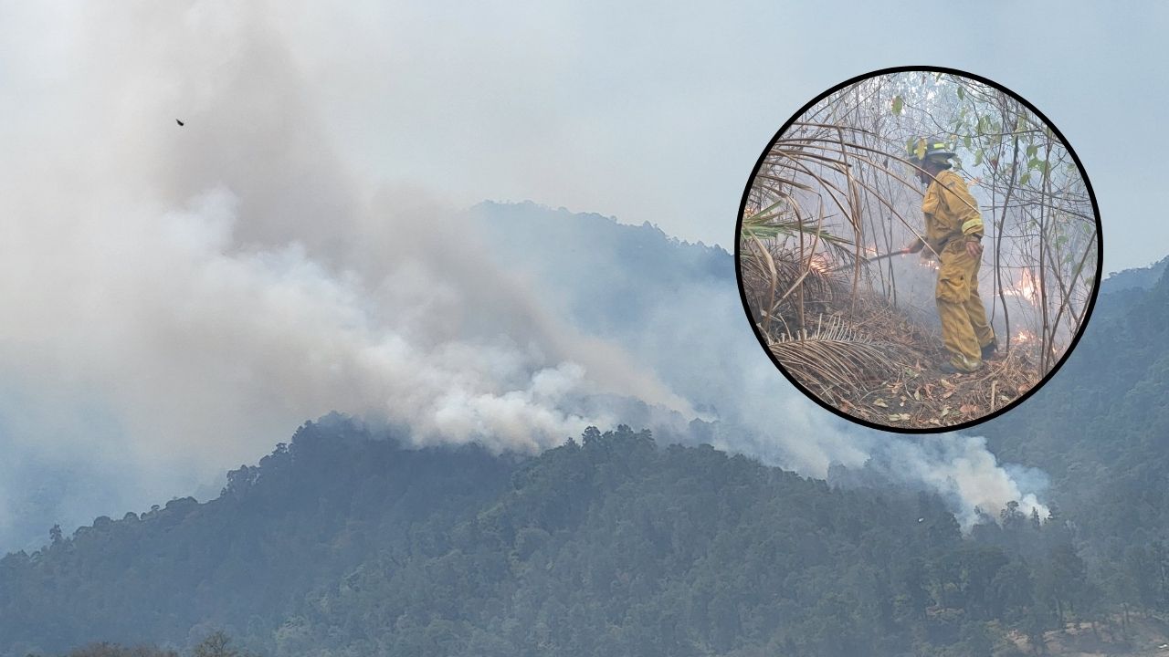 Identifican a pirómanos que habrían provocado incendio en El Merendón