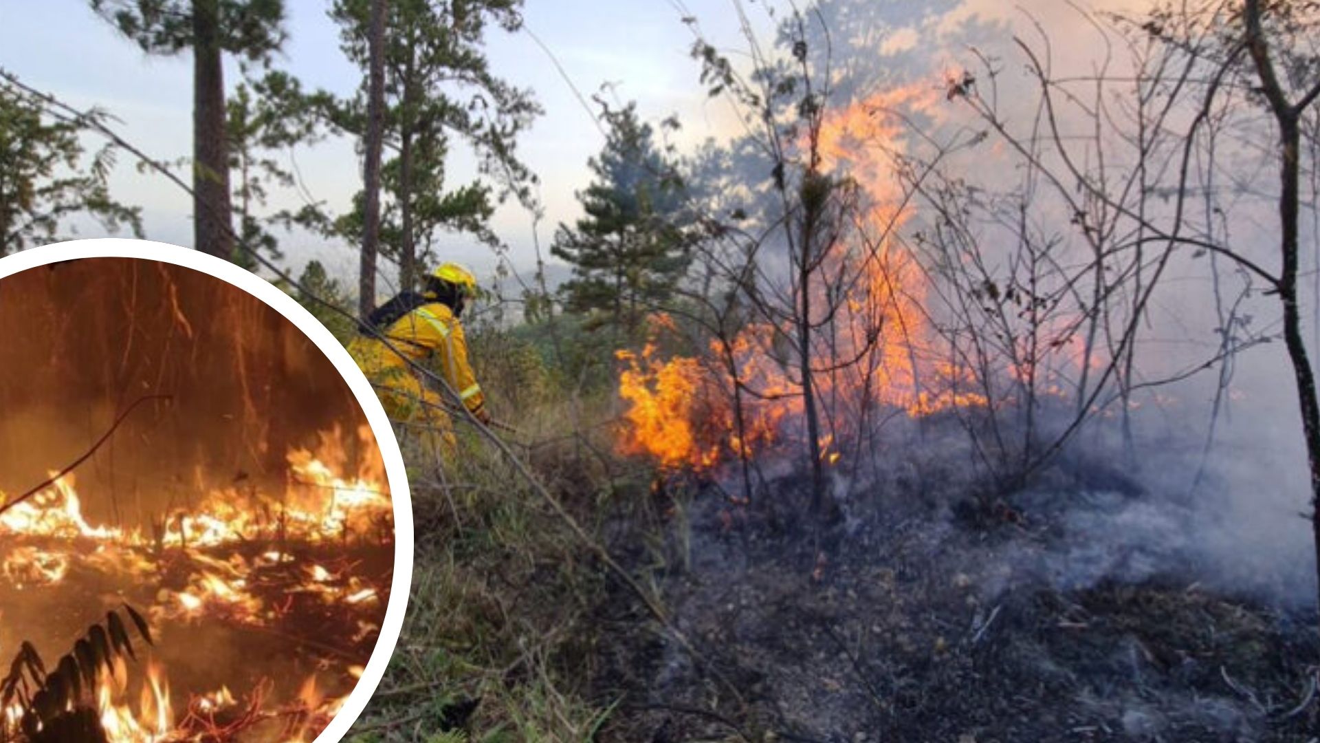 Incendio en la Sierra de Agalta podría dejar sin agua a Catacamas, advierte alcalde