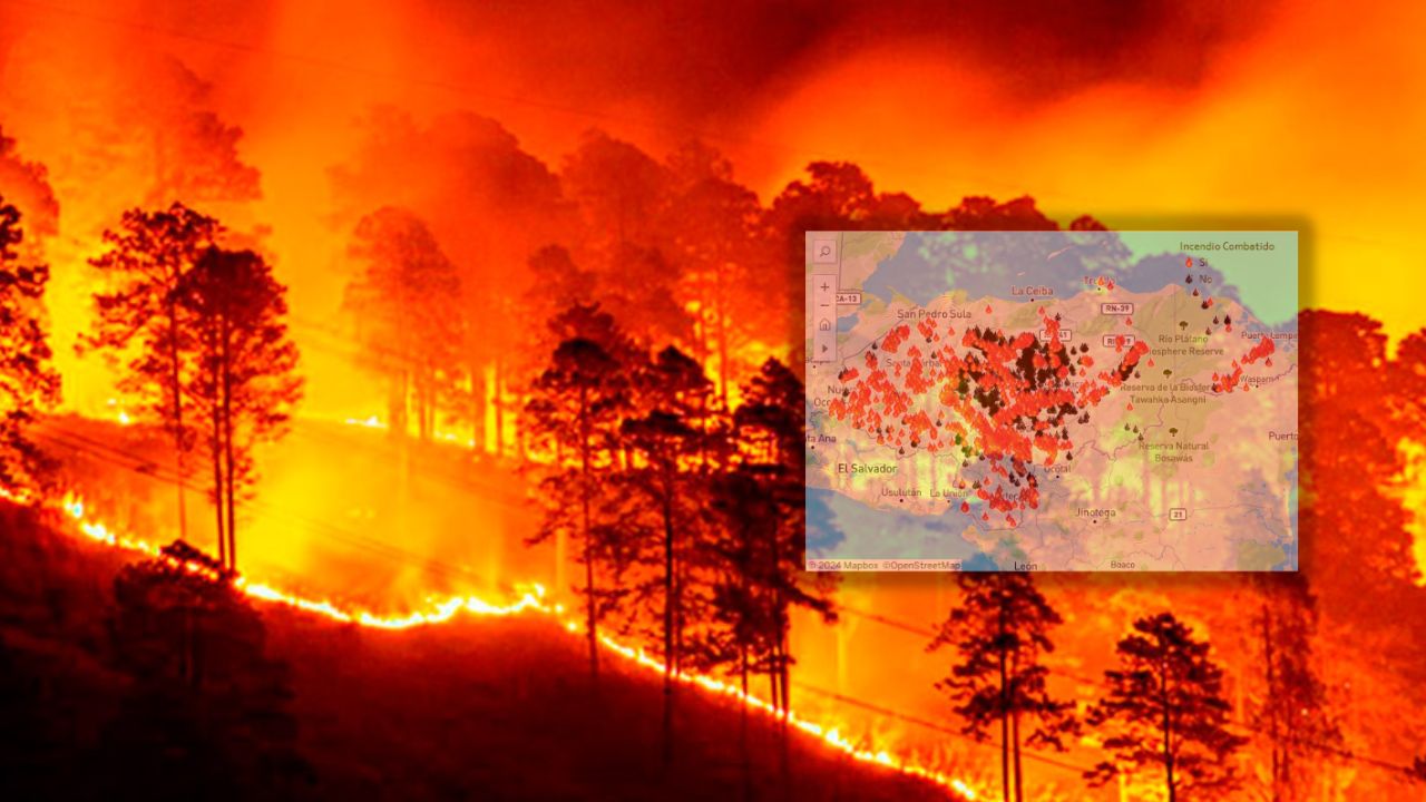 Más de 2,400 incendios ya han consumido casi 200,000 hectáreas de bosque en 2024 en Honduras