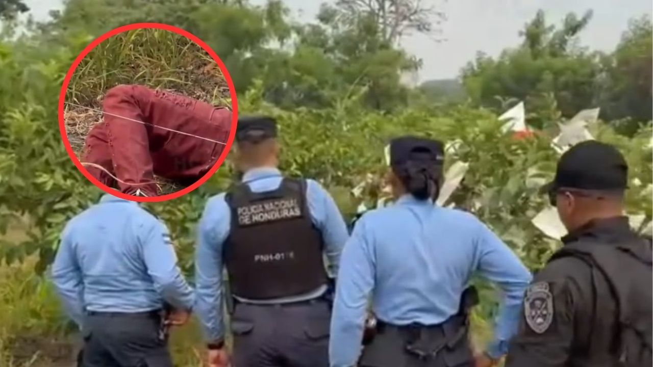 Joven muere electrocutado cuando pretendía robar guayabas en Juticalpa