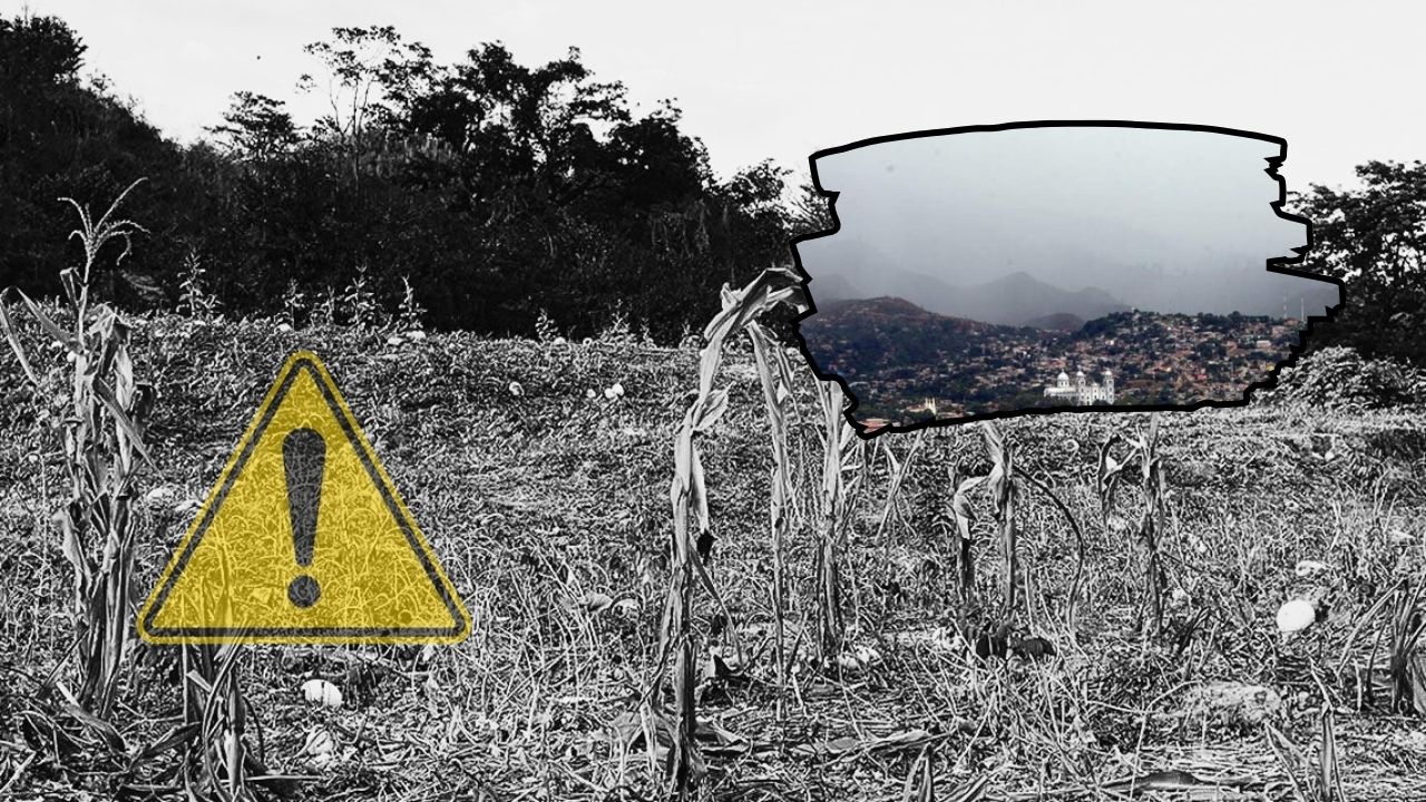 Se avecina tragedia en sector productivo si no hay lluvias en 10 días: ICF