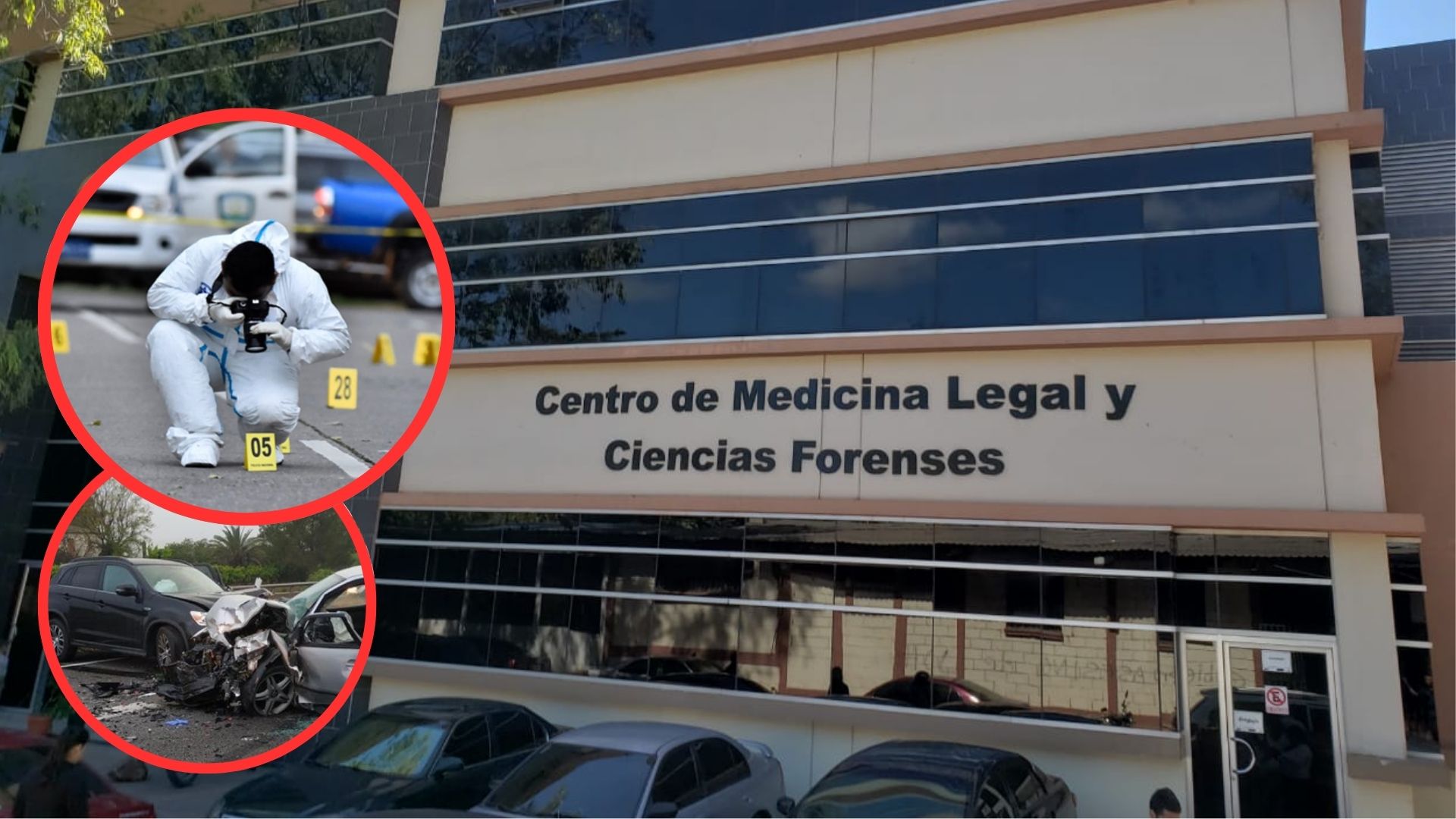 Disminuye el ingreso de cuerpos por accidentes de tránsito a Medicina Forense en 2024