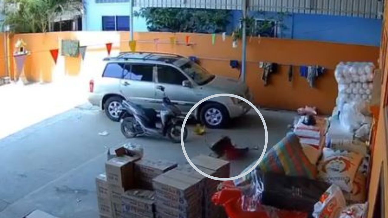 Captan ataque de perro a menor que lo molestaban, le jalaba la cola