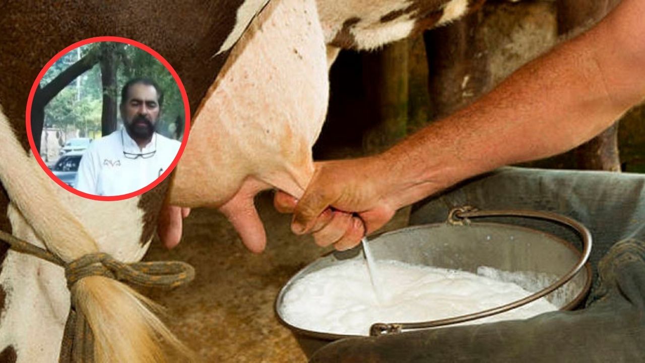 Apagones elevan costo de producción de leche dice ganadero de la zona norte