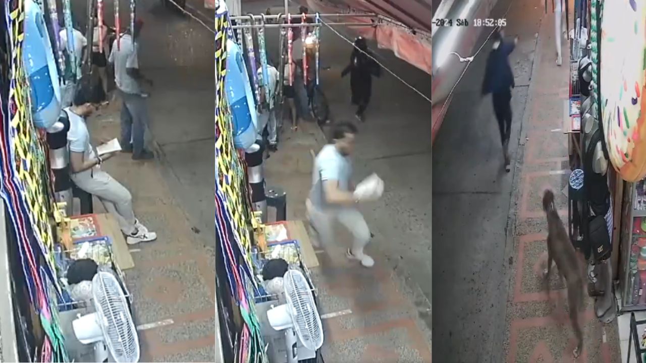 Un perro salva a su dueño de que sicario le quitara la vida