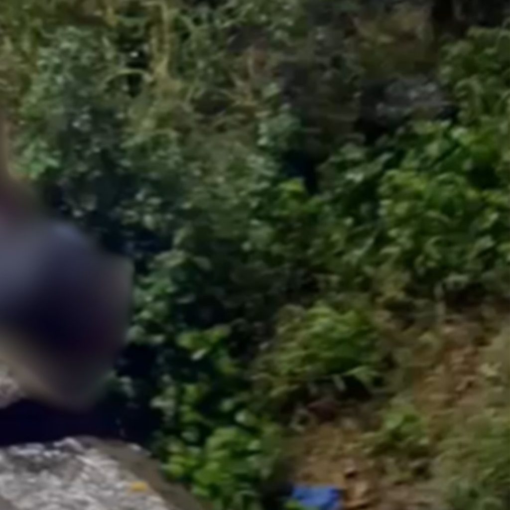 Un monte cerca de la barandilla donde quedó incrustada la víctima