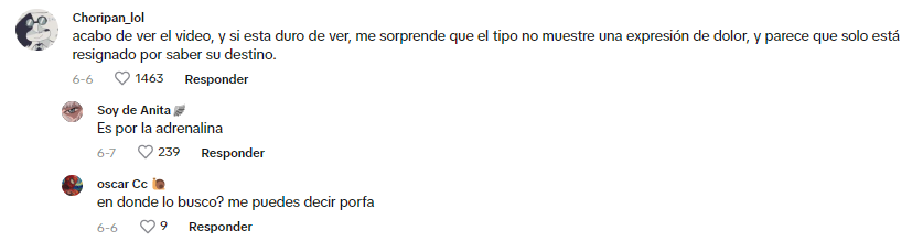 Captura donde se lee un comentario refiriéndose al video One last call
