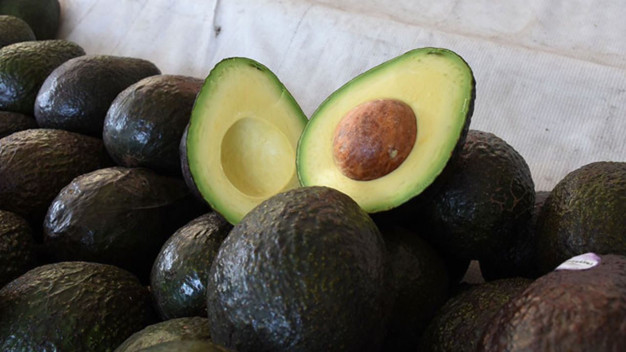 EE.UU. confirma suspensión de inspecciones a aguacates y mangos en México tras agresiones