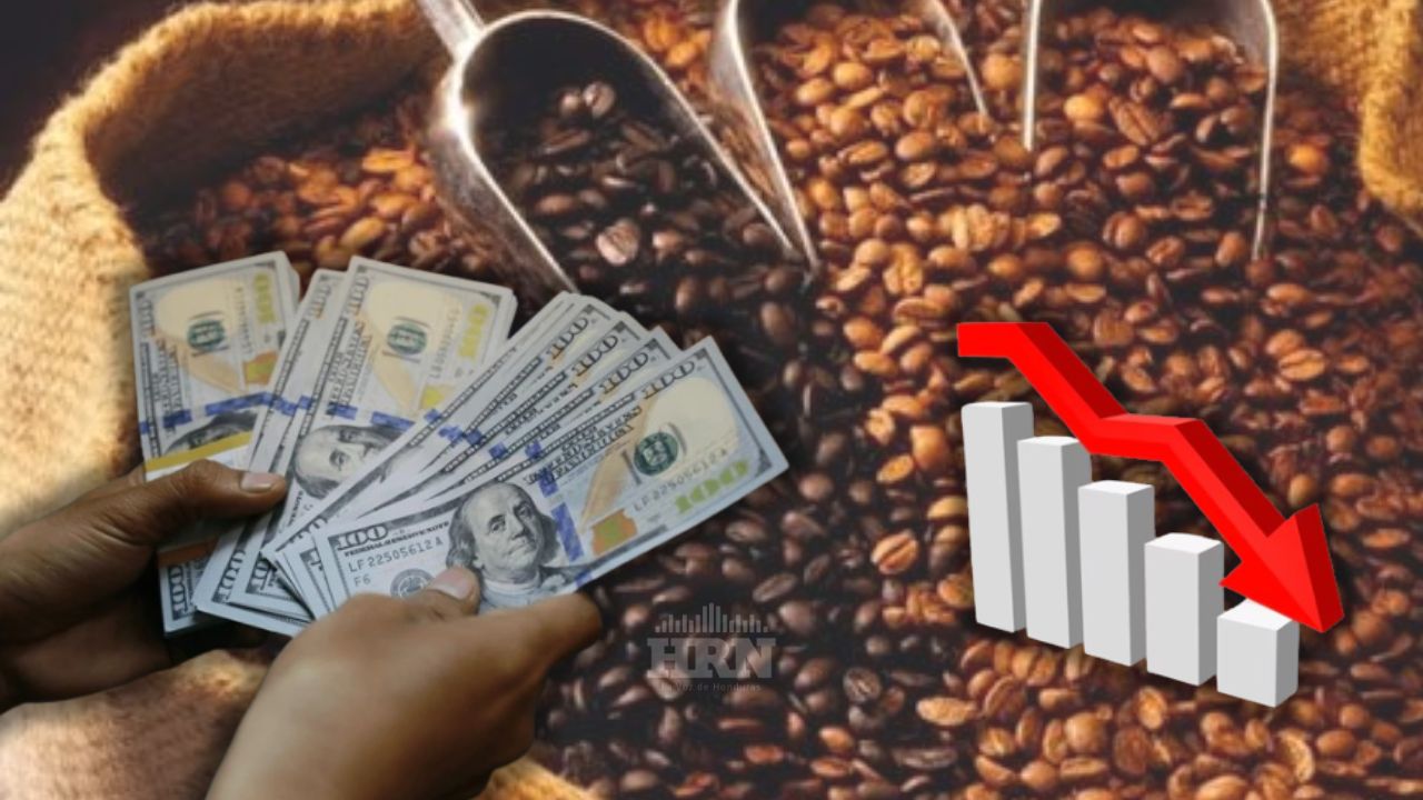Cafetaleros dejan de percibir unos $100 millones por bajas exportaciones