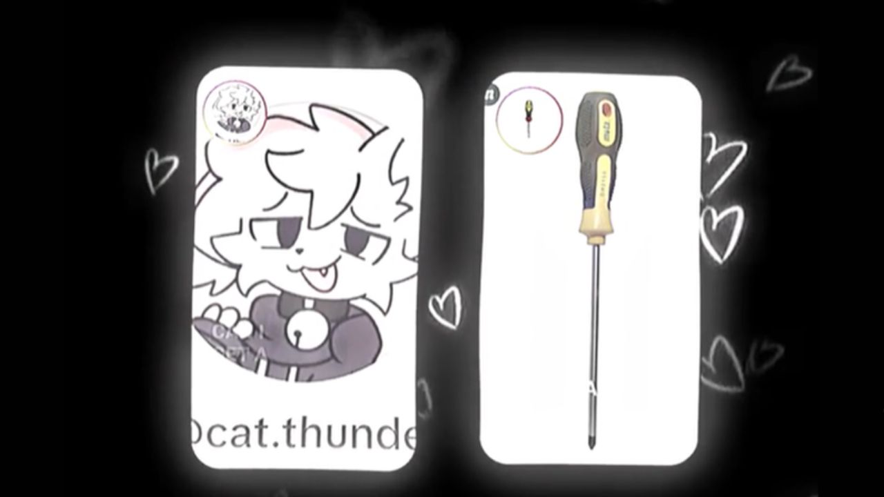 Cat Thunder video Twitter, ¿qué hizo con el destornillador?
