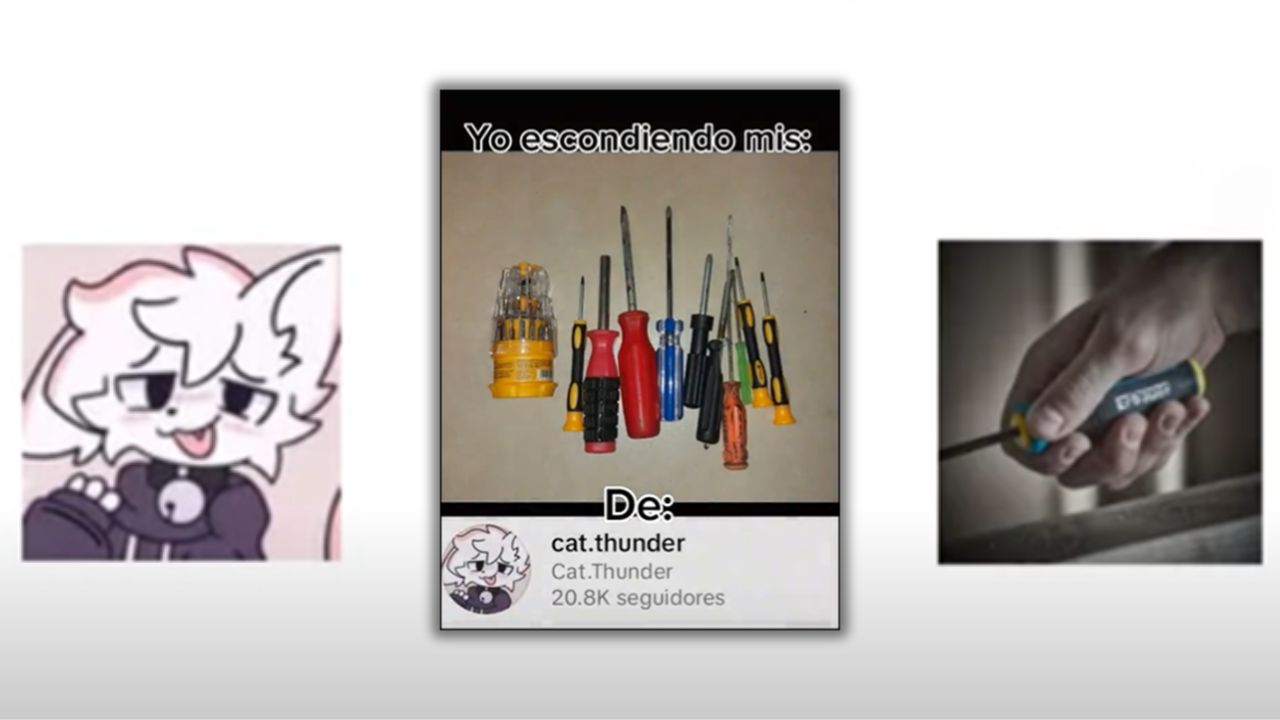 Cat Thunder video destornillador: contexto del metraje