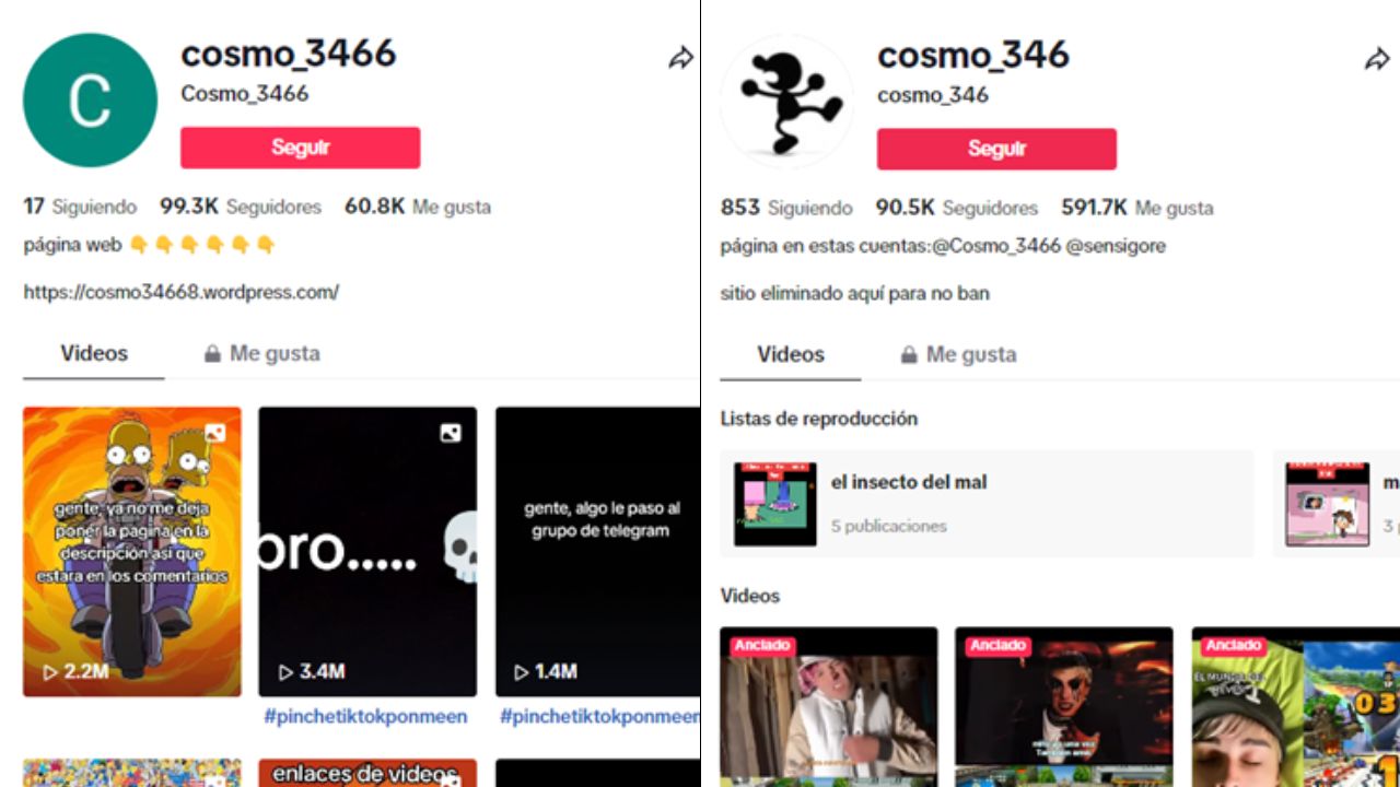 Cosmo 346: el usuario viral en TikTok