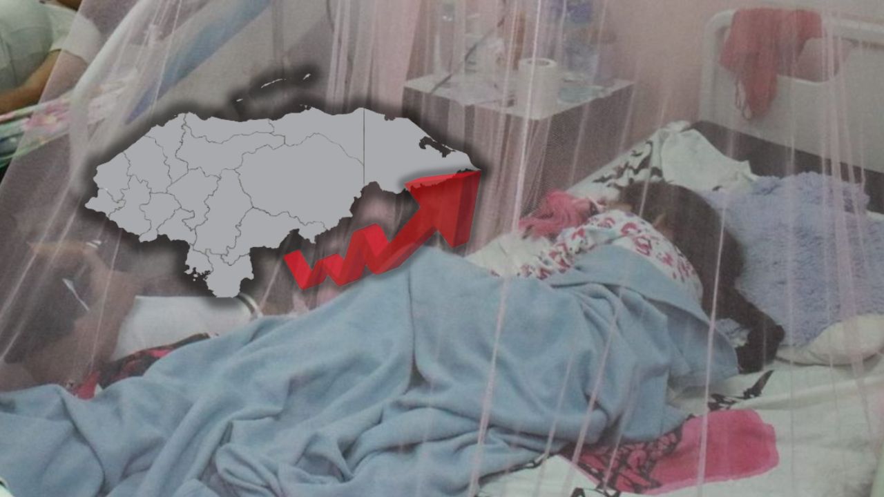 Sesal confirma cuatro muertes más por dengue en Honduras; hay 29,000 casos