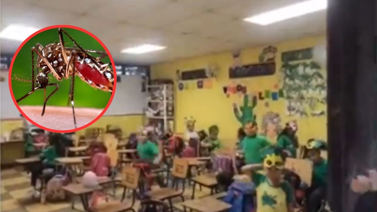 Escuela Ramón Rosa reporta 15 niños con dengue