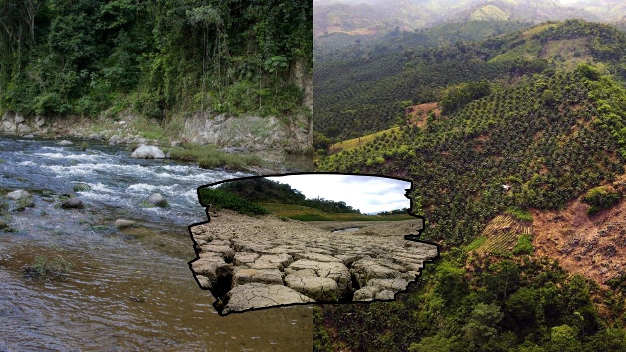 Honduras conmemora Día del Ambiente con retos en sequía y producción