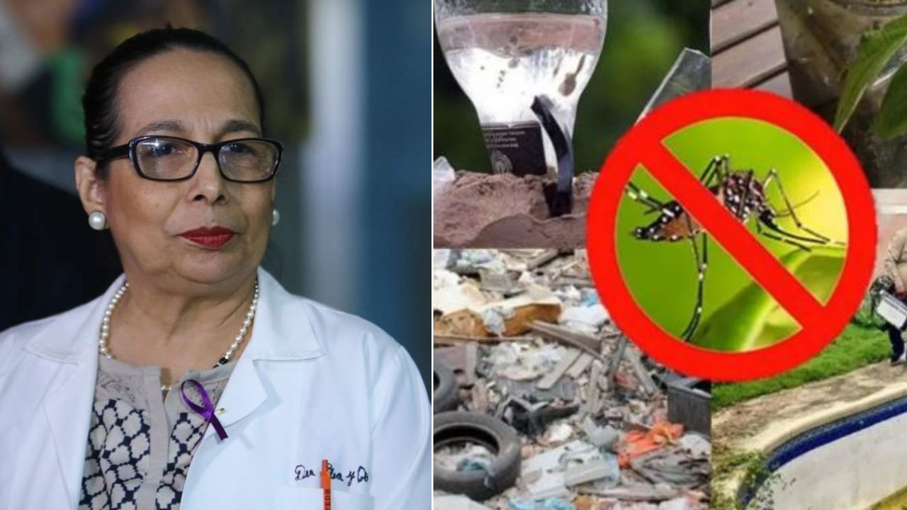 Casos de dengue podrían triplicarse y exministra llama a eliminar criaderos de zancudos