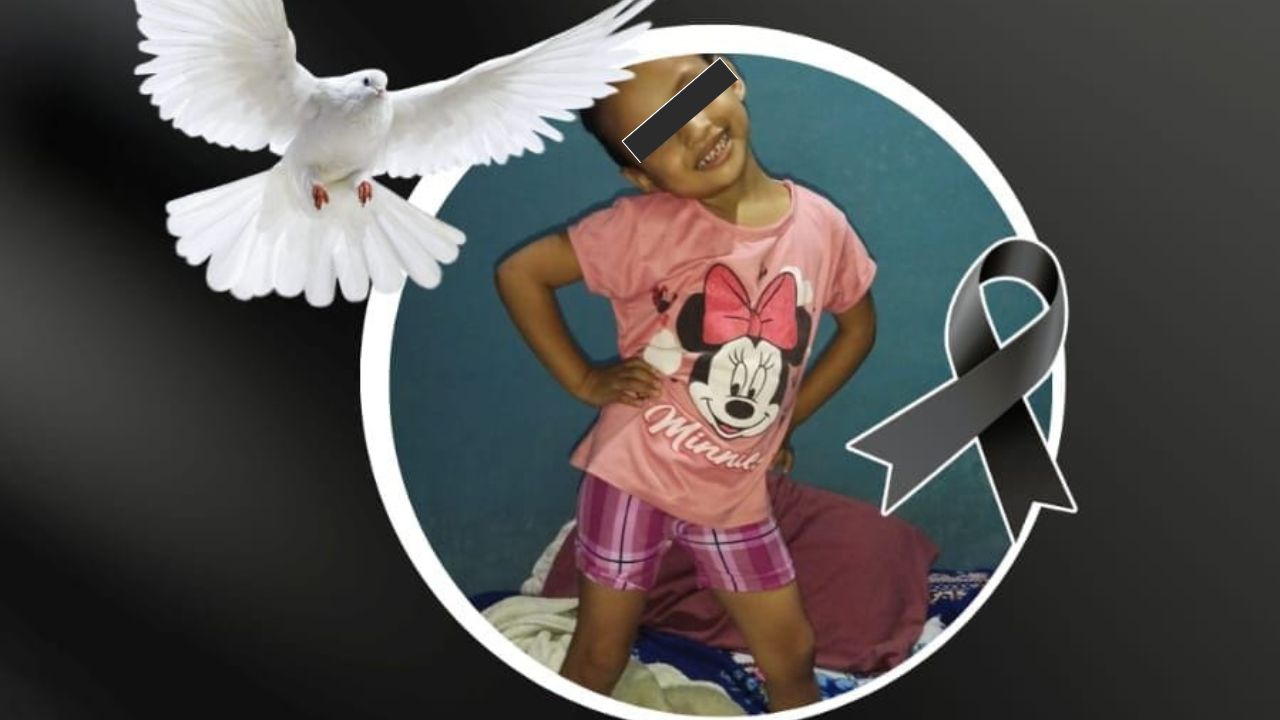 Niña hondureña muere presuntamente por dengue