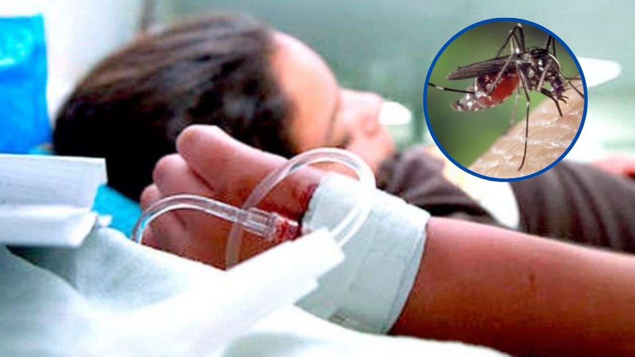 Muere menor por dengue en el Distrito Central