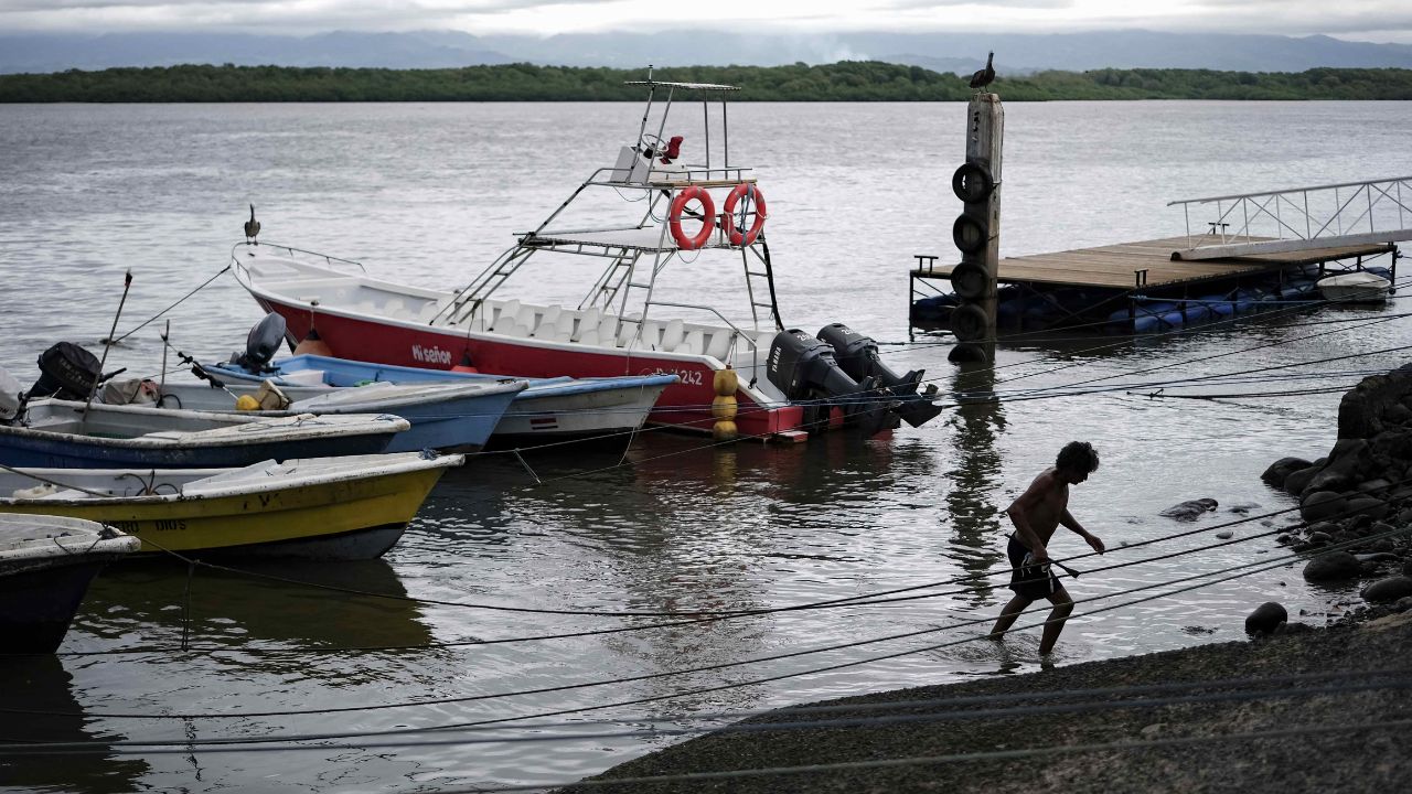 Latinoamérica y el Caribe es la segunda región productora acuícola del mundo