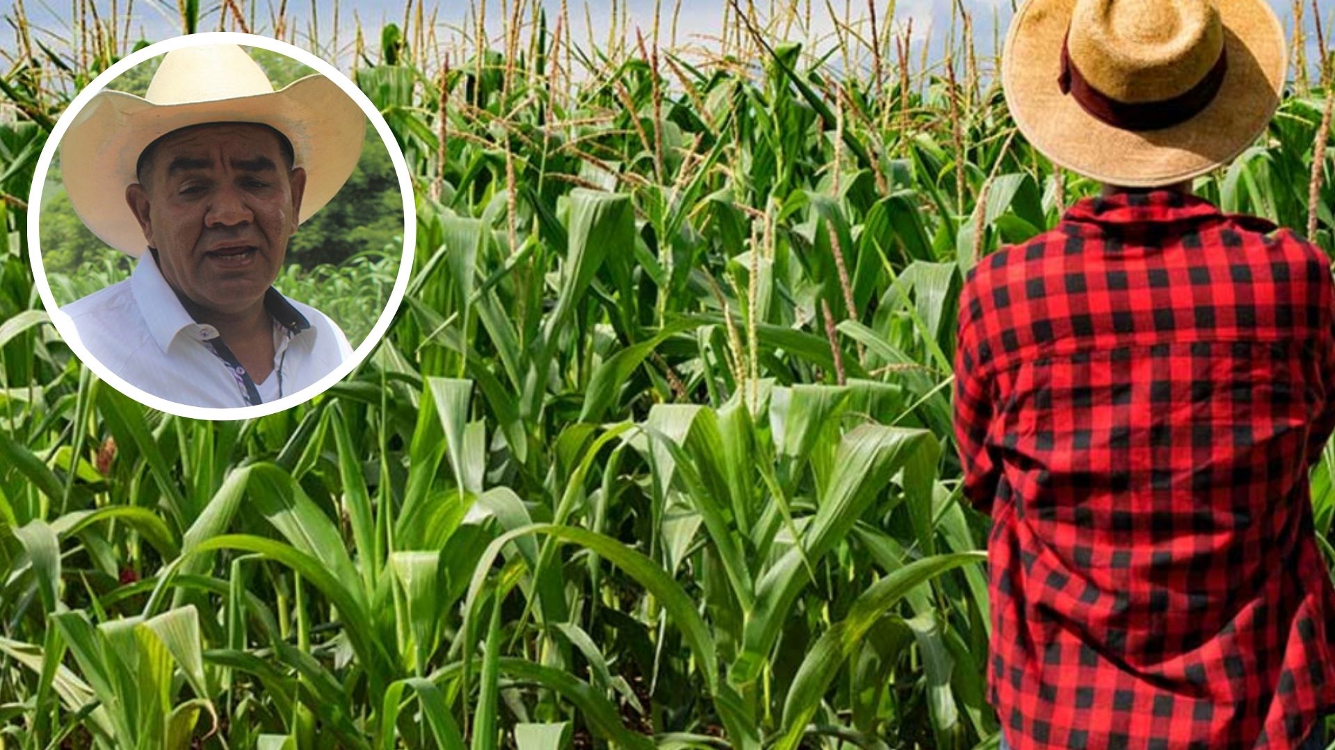 Crece la migración de agricultores en Honduras por falta de motivación para cosechar
