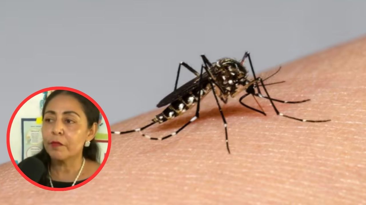 Escuela Víctor F. Ardón reporta 20 niños infectados por dengue en San Lorenzo