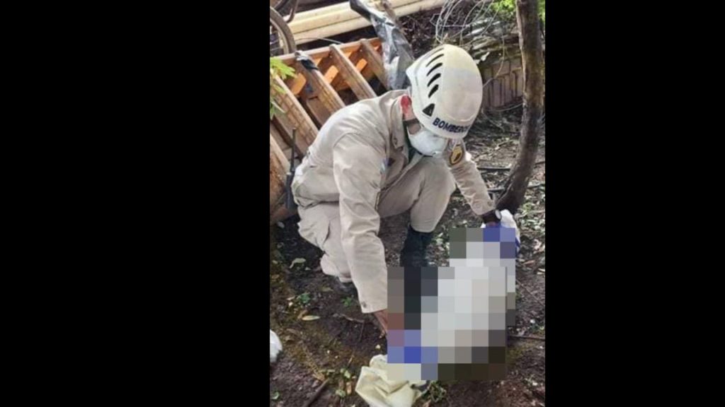 Imagen de cuerpo de nota