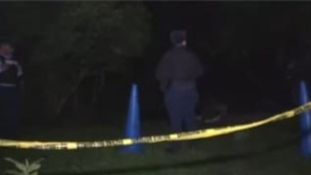 Imagen de cuerpo de nota