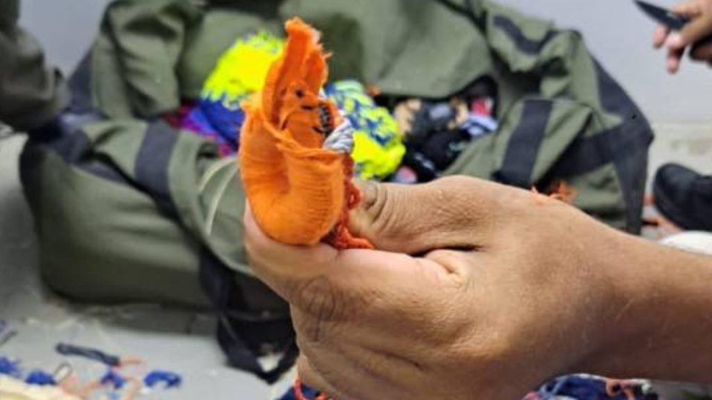 Imagen de cuerpo de nota