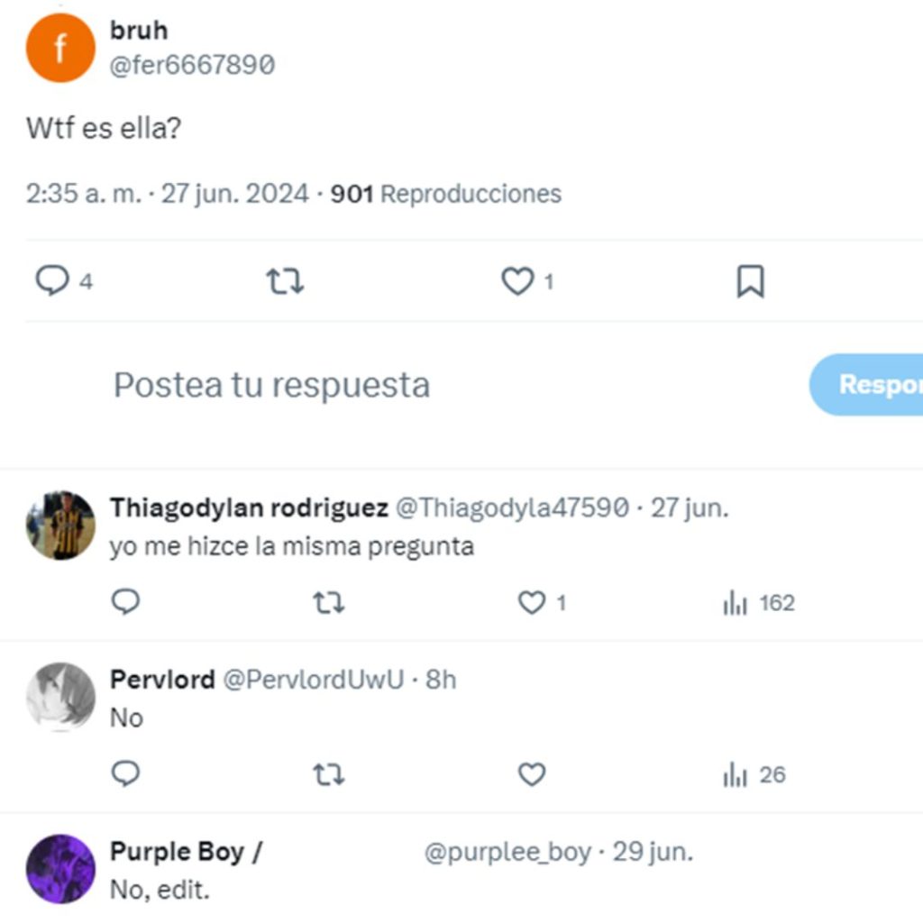 Captura donde usuarios dicen que es falso el video