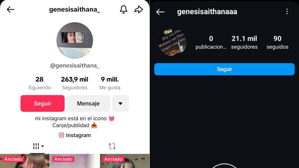Captura de pantalla en la que se ve el perfil de TikTok e Instagram de la joven