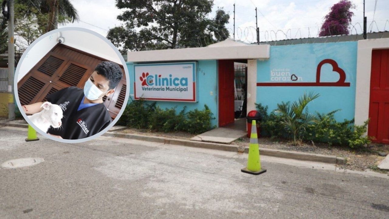 Atención por orden de llegada y gratis, así funciona la clínica veterinaria municipal en Tegucigalpa