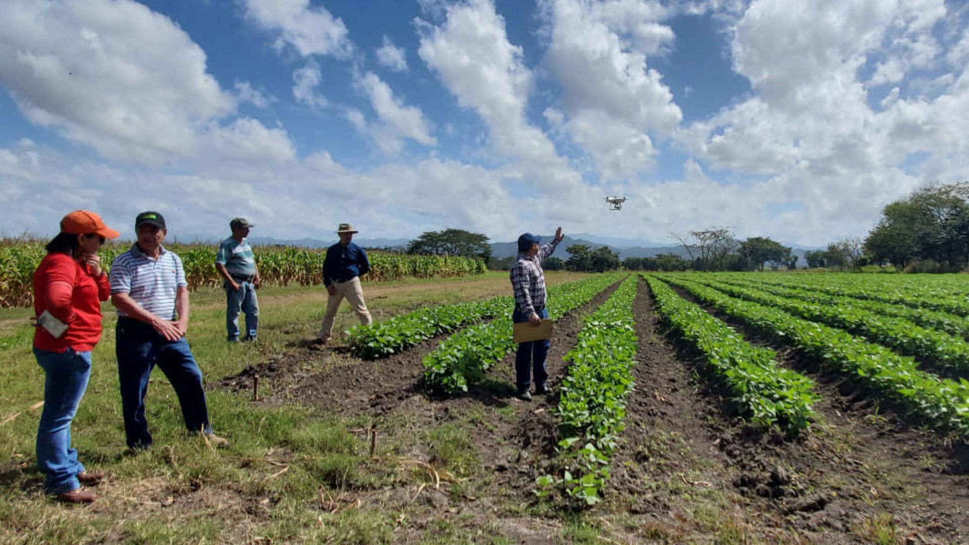 La agricultura en Honduras ha sido abandonada desde los años 90, dice analista