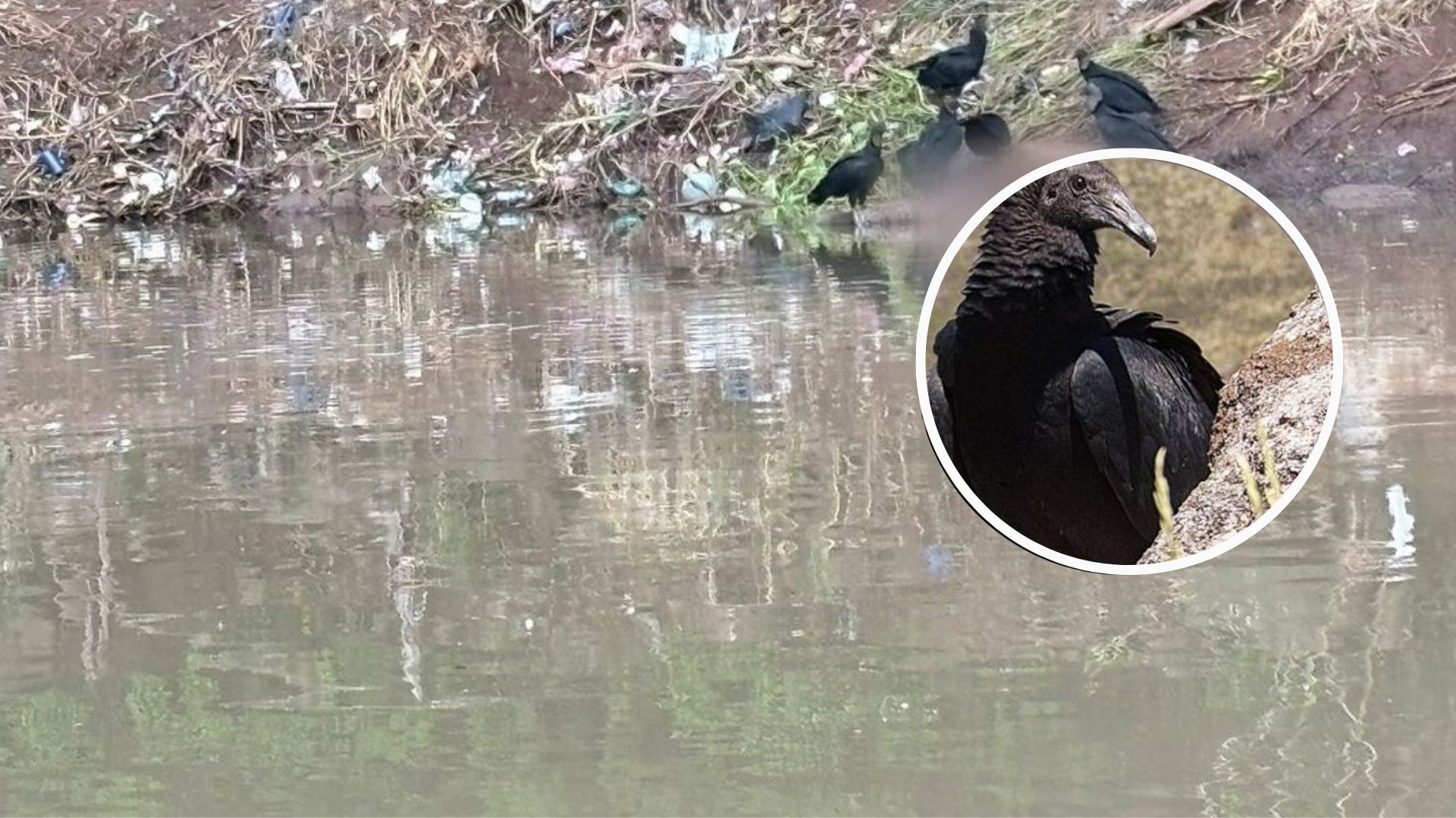 A orillas del río Choluteca encuentran cadáver de un hombre en Tegucigalpa