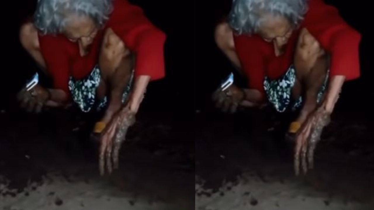 ¿Es real? Graban a "bruja" tras caer del cielo cuando merodeaba