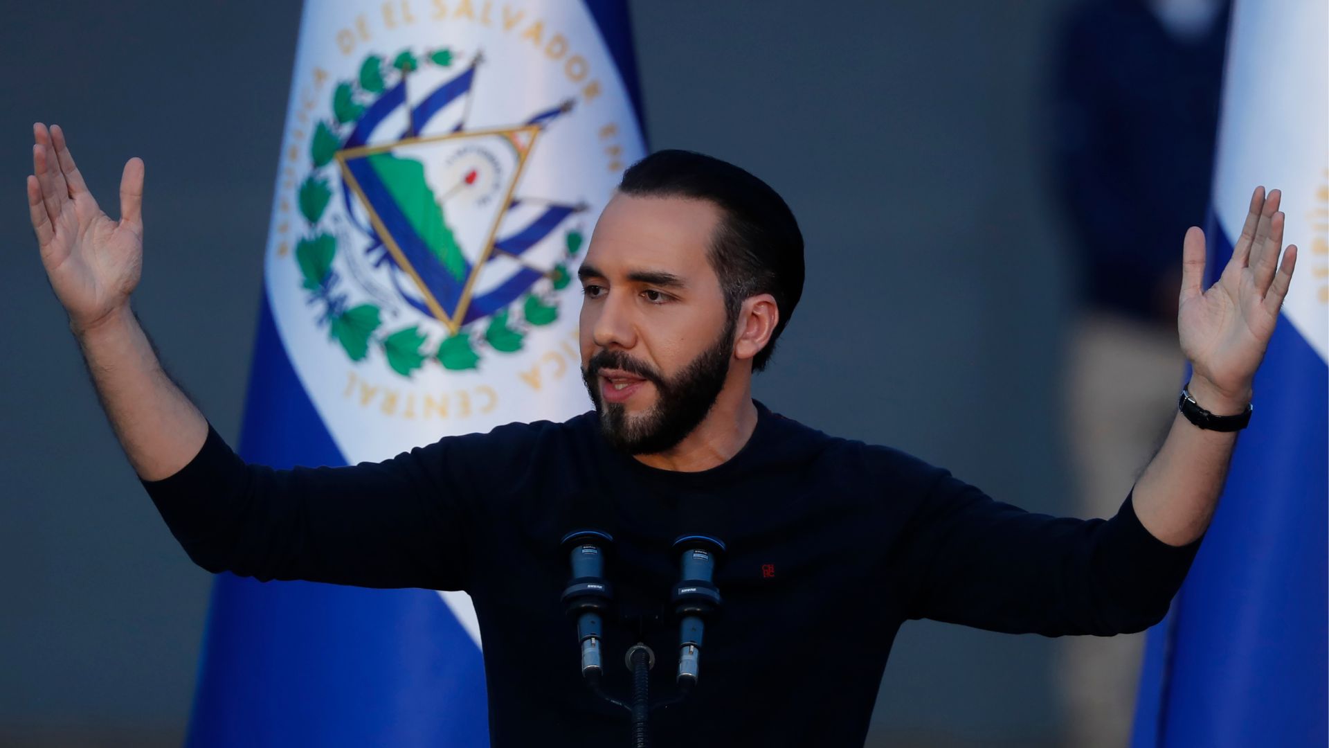 Bukele asegura que en 10 años El Salvador 'tendrá seguridad alimentaria'