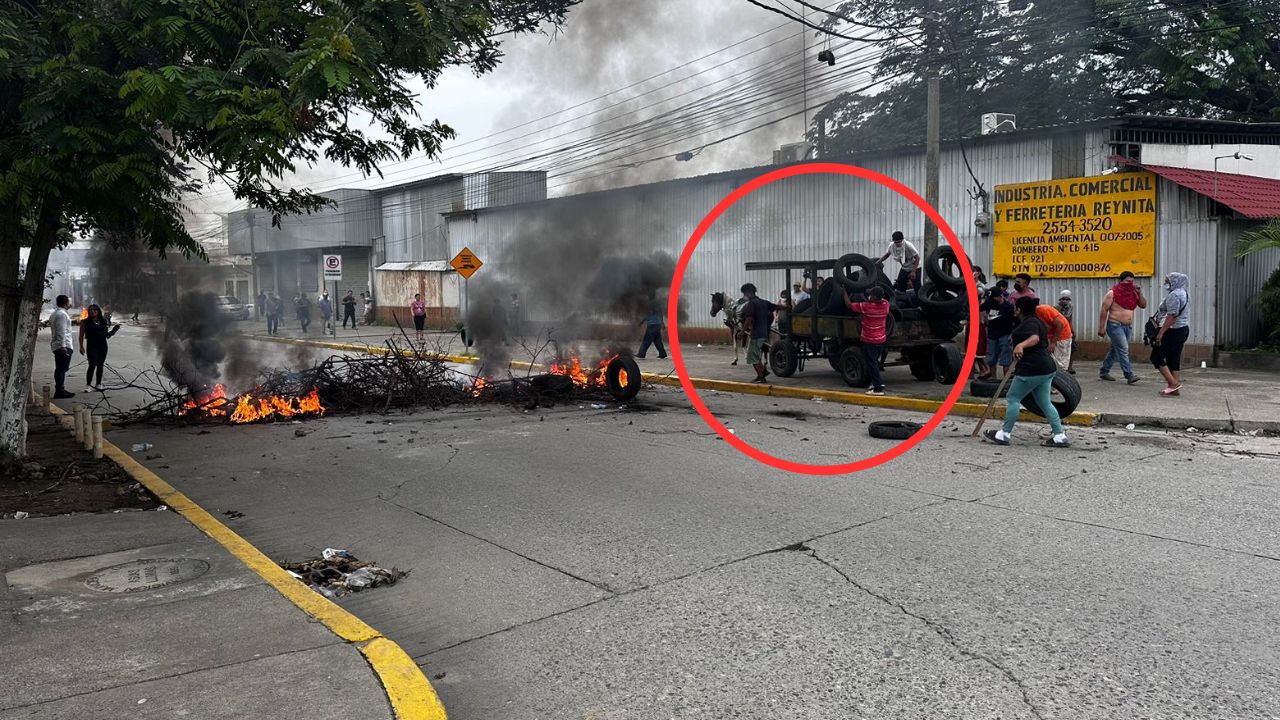 No al maltrato de caballos en SPS; proponen a carreteros plazas de trabajo con salario de L18 mil