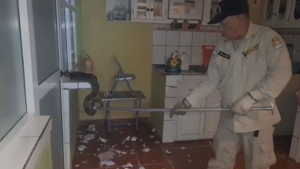 Familia hondureña fue sorprendida por una boa en la cocina de su casa