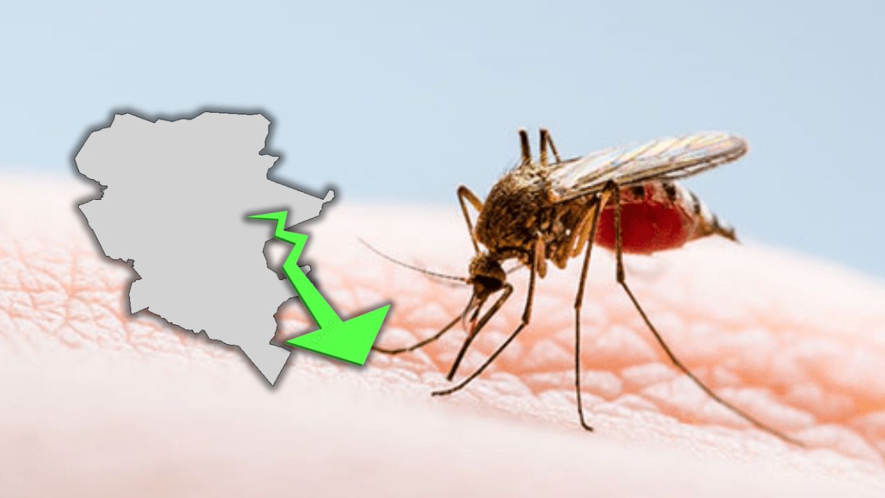 Se estabiliza incidencia de dengue en el DC, pero aún es 'alta', según autoridades