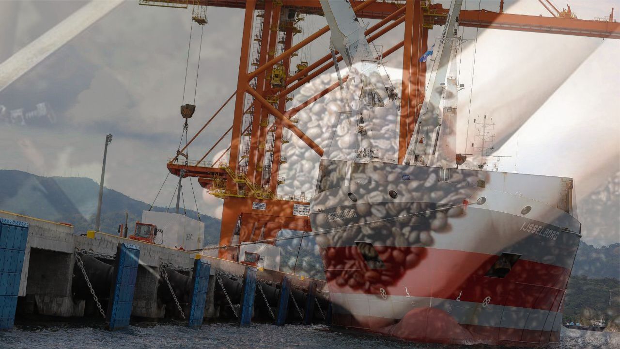 Exportaciones de café suman más de $ 1,000 millones en nueve meses