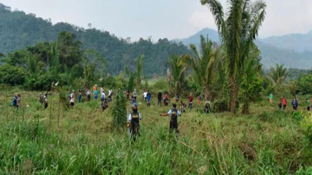 Editorial HRN: Invasión de tierras, inseguridad jurídica  e informe del Departamento de Estado