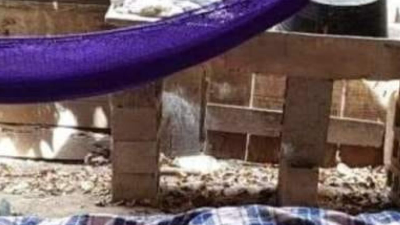 Degollado y sobre una hamaca hallan a olanchano después de departir con unos amigos