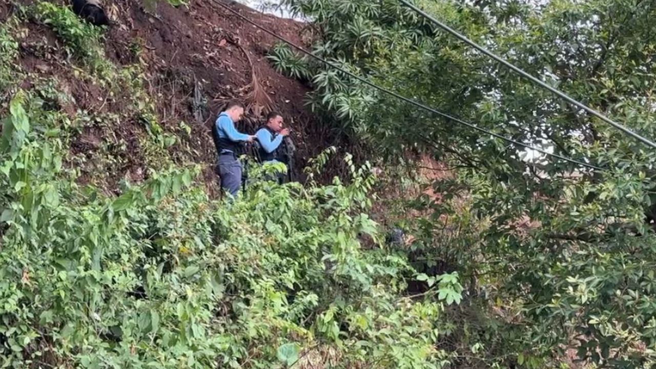Hondureño muere tras caer de barranco en La Ceiba, estaba a cargo de sus hijos tras separarse